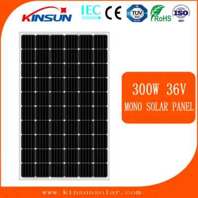태양계를 위한 공장 Cutomized 300W 고품질 단청 태양 전지 패널